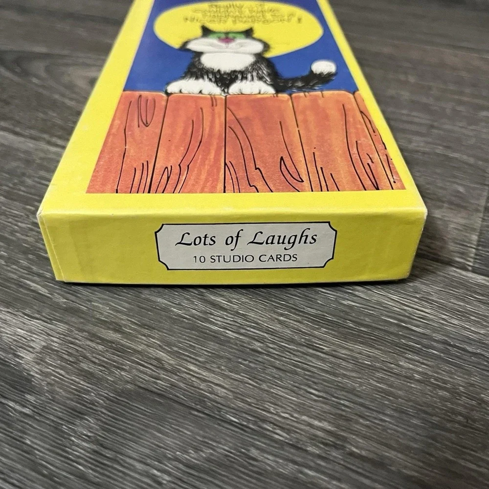 Vintage 1970s Lots Of Laughs Box Of 9 New Assorted Cards Humor W/Envelopes USA